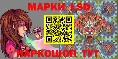 индика Лесосибирск