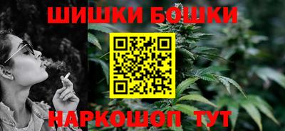 индика Лесосибирск