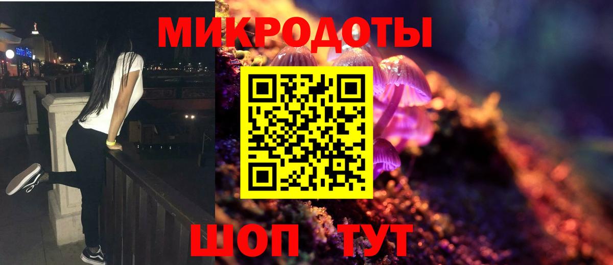 Удомля  Псилоцибиновые грибы ЛСД  Вход с VPN  Галлюциногенные грибы ЛСД 